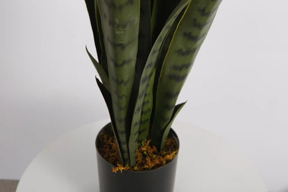 Snake Faux Plant 76cm/ 30"