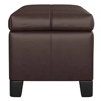 Bella Rectangular Storage Ottoman in Brown