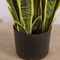 Snake Faux Plant 65cm/ 25.6"