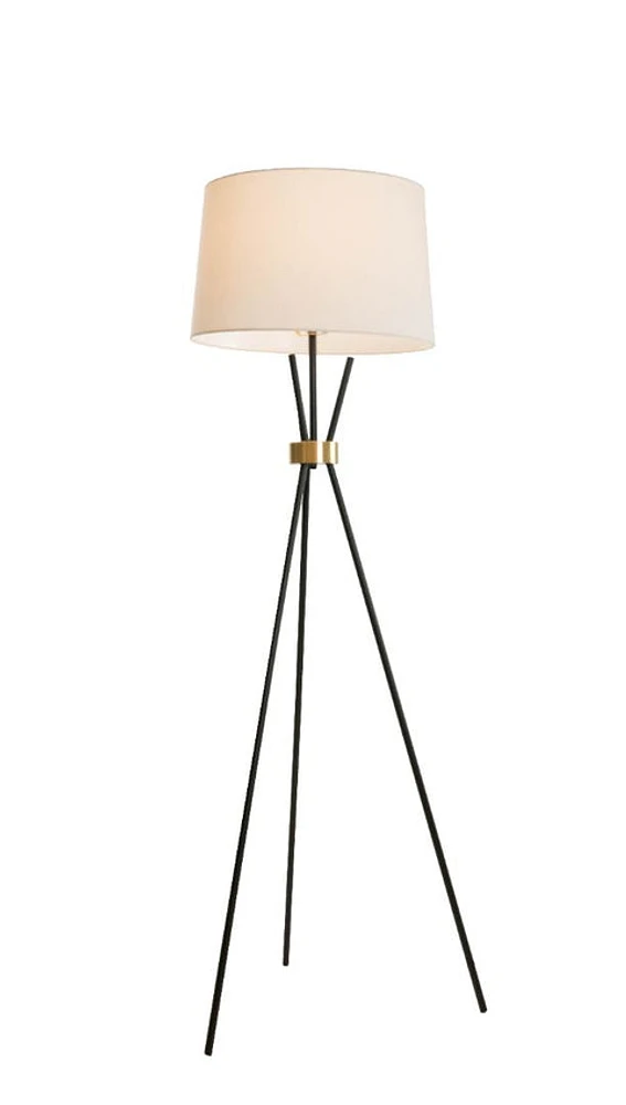 Benjamin Black with Antique Bronze Accent Floor Lamp