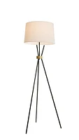 Benjamin Black with Antique Bronze Accent Floor Lamp