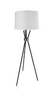 Benjamin Black with Antique Bronze Accent Floor Lamp