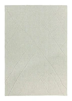 RAYTON HAND WOVEN RUG