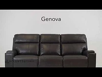 Genova Genuine Leather Power Reclining Loveseat - Dark Grey