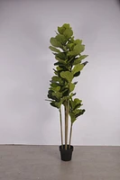 Fiddle Leaf Fig Faux Plant 185cm/ 72.8"