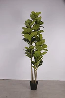 Fiddle Leaf Fig Faux Plant 185cm/ 72.8"