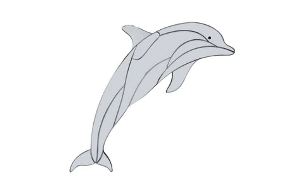 Dolphin Mirror - M1-M0112