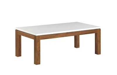 Modera 47-inch Coffee Table - T2-MD100C