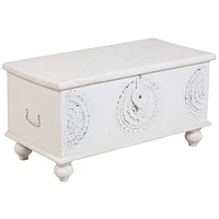 FLOOR MODEL Leelo Coffee Table Trunk