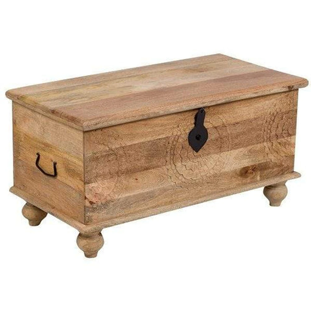 FLOOR MODEL Leelo Coffee Table Trunk