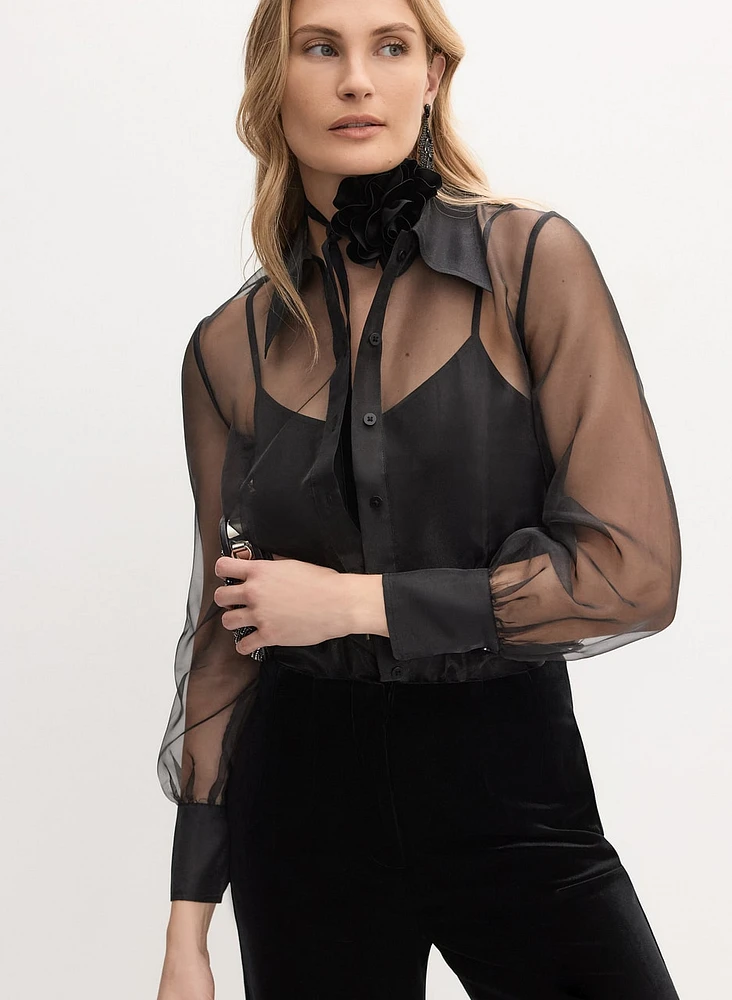 Sheer Organza Blouse