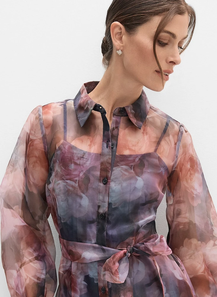 Printed Organza Dress