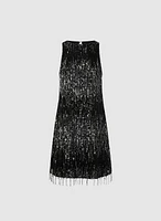 Fringed Sequin Dress