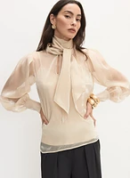 Tie Neck Organza Blouse