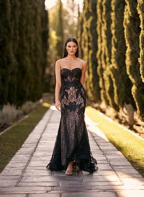 Vision in Lace
