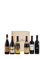 Red Wine Tasting Gift Set in Vintages Wooden Box