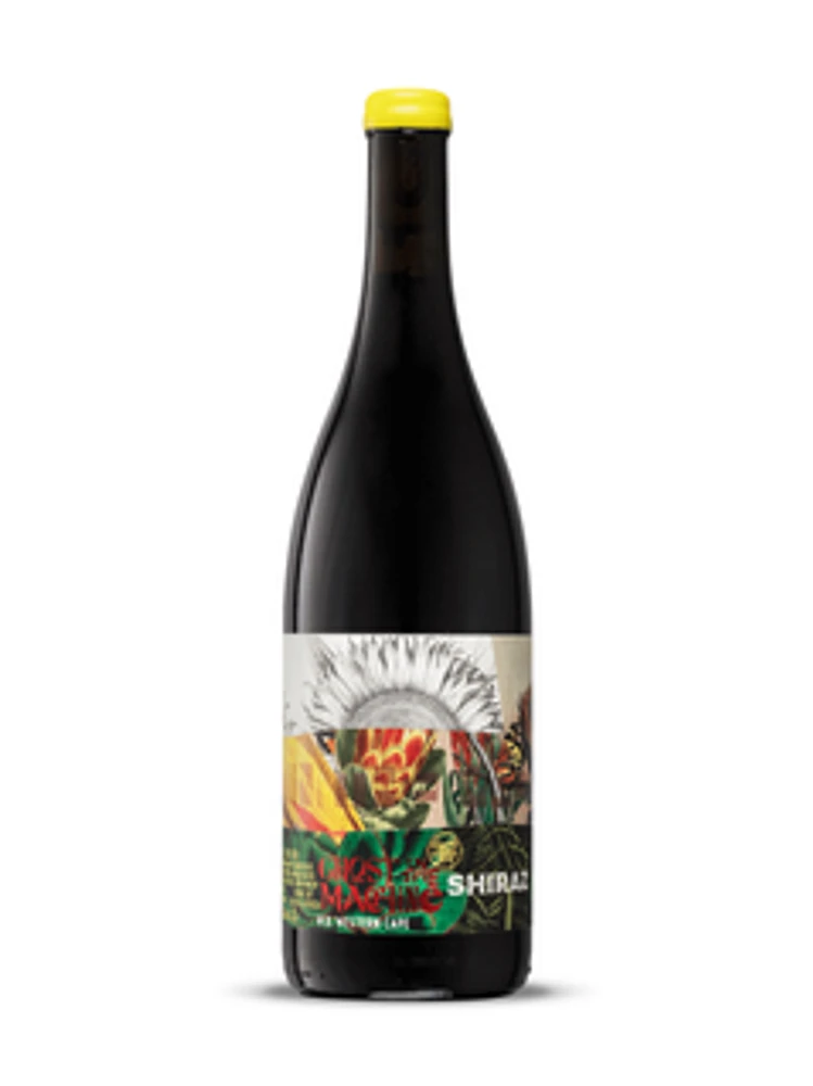 Ghost in the Machine Shiraz 2021