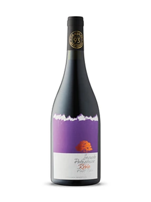 Secreto Patagónico Reserva Pinot Noir 2021