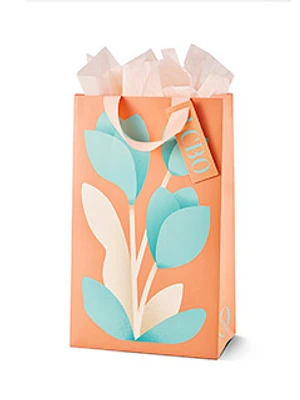 Seasonal Gift Bag