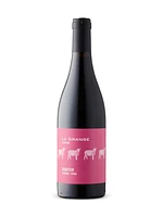 Tradition Sabatier Carignan Syrah IGP Cotes De Thongue 2022