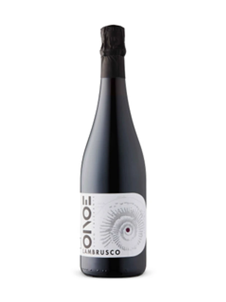 Oinoe Vini I Classici Lambrusco Emilia IGP