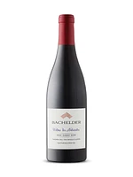 Bachelder Willms les Naturistes Gamay Noir Cru