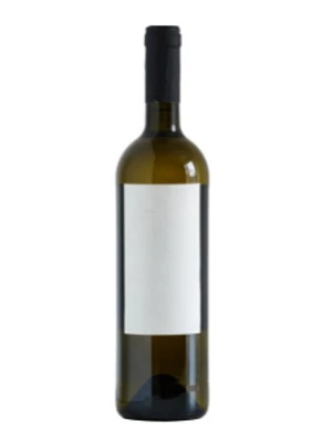 Stina Vugava 2019 (Case)