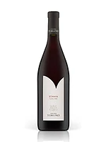 Toblino Schiava Trentino DOC 2019