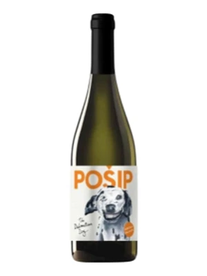 Dalmatian Dog Posip 2019