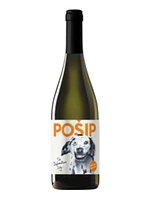 Dalmatian Dog Posip 2019