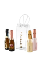 Bottega Mini Sparkling Icebag Set