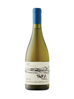 Tara Atacama White Wine 1 2020