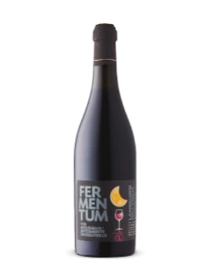 Fermentum Lambrusco 2019