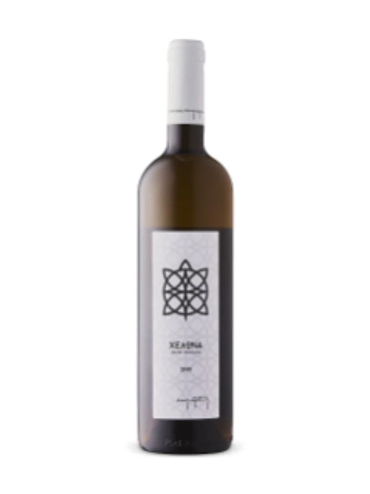 Turtle White 2019