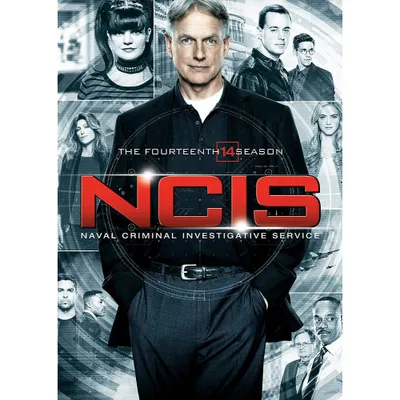 NCIS: S14 (DVD)