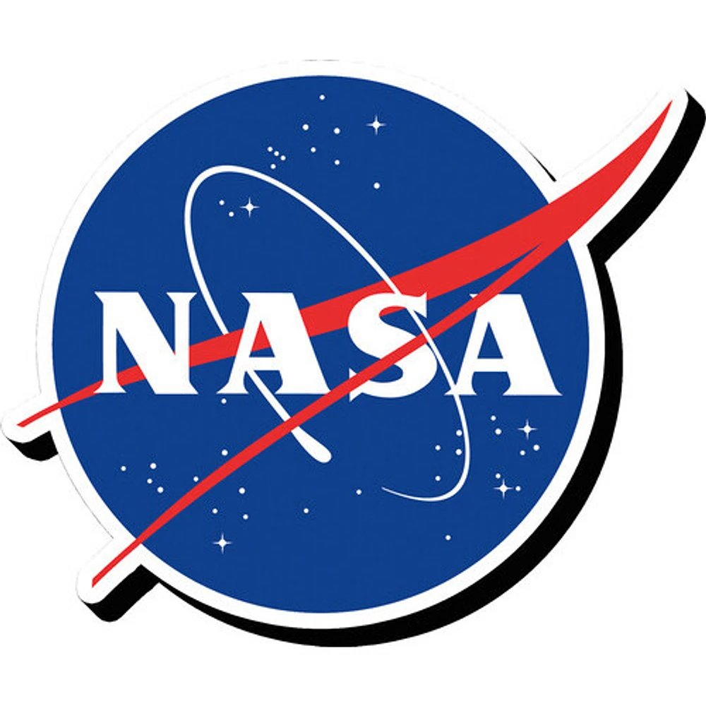 NASA Logo Funky Chunky Magnet