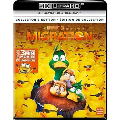 MIGRATION 4K BIL