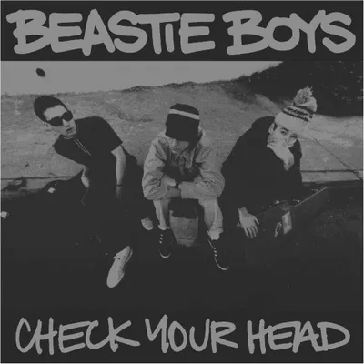 Check Your Head: 30th?Anniversary [Limited Edition Deluxe 4LP Box Set]