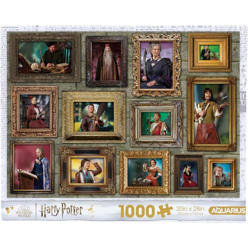 HARRY POTTER - WITCHES & WIZARDS 1000 PC PUZZLE