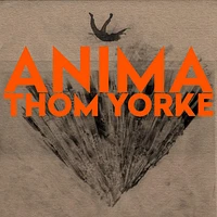 Anima Deluxe Double Vinyl (Hardback Book Edition)