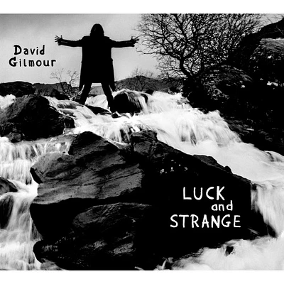 GILMOUR, DAVID / LUCK AND STRANGE (LP)