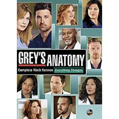 Grey's Anatomy: The Complete Ninth Season (Sous-titres franais)