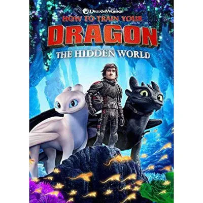 How To Train Your Dragon: The Hidden World (DVD)