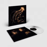 Back To The Water Below [Indie Exclusive Limited Edition Clear LP]