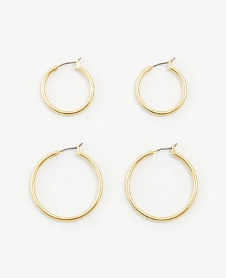 Ann Taylor Hoop Earring Set Women's