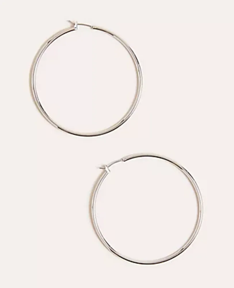 Ann Taylor Essential Hoop Earrings