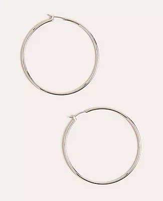 Ann Taylor Essential Hoop Earrings