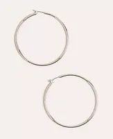 Ann Taylor Essential Hoop Earrings