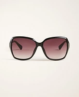 Ann Taylor Square Sunglasses Women's