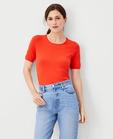 Ann Taylor Petite Sweater T-Shirt Women's